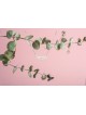 שרשרת כסף אמא עברית אלגנטית, שרשרת משפחתית מכסף סטרלינג